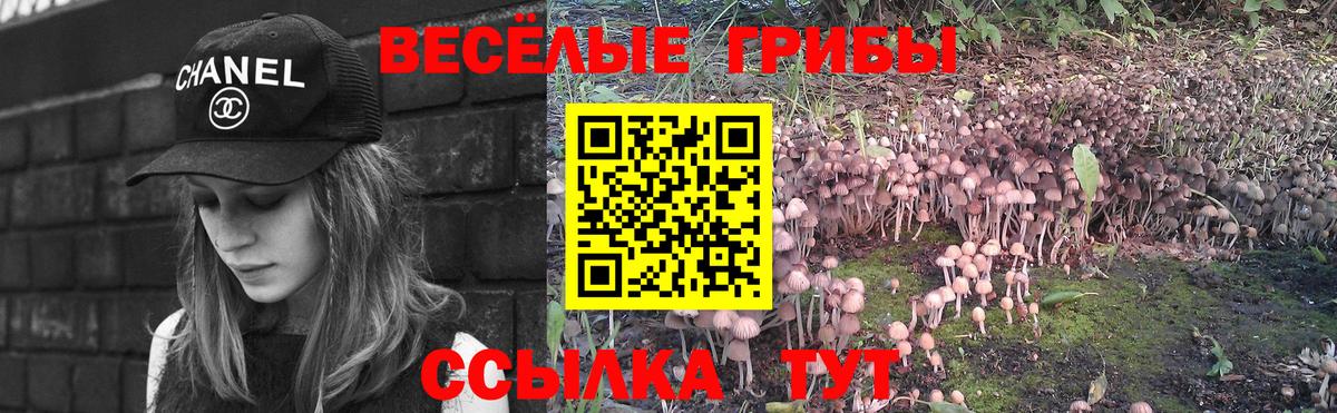 Галлюциногенные грибы GOLDEN TEACHER  Вход с VPN  Кушва 